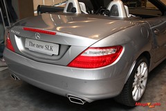 55505_35_1.jpg
