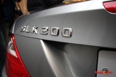 55505_39_1.jpg