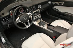 55505_4_1.jpg