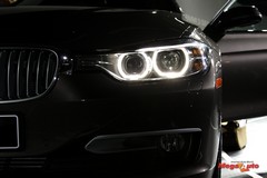 55804_51_1.jpg