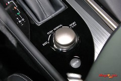 55951_25_1.jpg