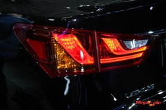 55951_51_1.jpg