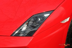 55962_13_1.jpg