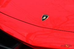 55962_14_1.jpg