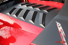 55962_21_1.jpg