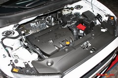 55982_32_1.jpg
