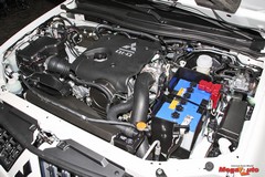 55982_49_1.jpg