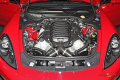 56022_45_1.jpg