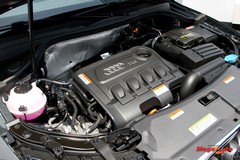 56486_44_1.jpg