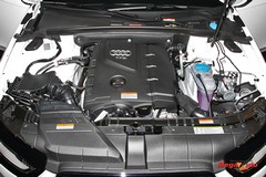 56874_64_1.jpg