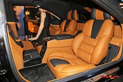 58255_5_1.jpg