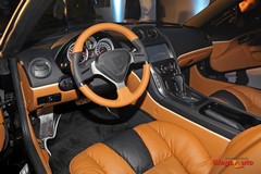 58255_6_1.jpg