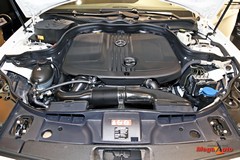 58319_40_1.jpg