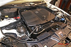 58319_5_1.jpg