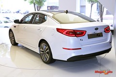59459_8_1.jpg