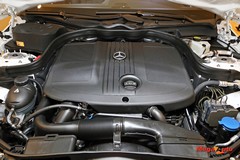 59550_49_1.jpg
