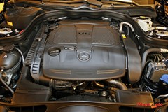 59550_51_1.jpg