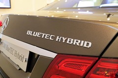 59550_8_1.jpg