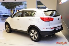 59813_7_1.jpg