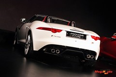59900_14_1.jpg