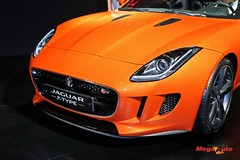 59900_19_1.jpg