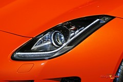 59900_20_1.jpg