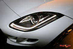 59900_21_1.jpg