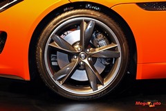 59900_24_1.jpg
