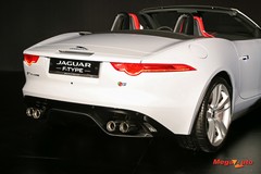59900_30_1.jpg