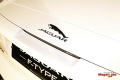 59900_31_1.jpg