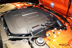 59900_48_1.jpg