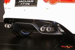 59900_4_1.jpg