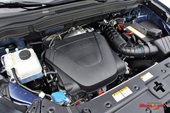 59921_7_1.JPG