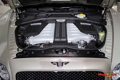 60048_5_1.jpg