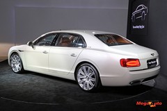 60048_7_1.jpg