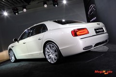 60048_9_1.jpg
