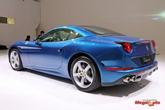 62484_13_1.jpg
