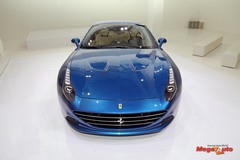 62484_19_1.jpg