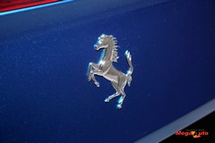 62484_44_1.jpg