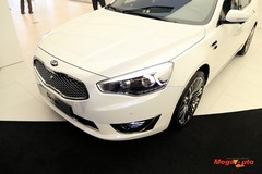 62584_43_1.jpg