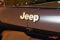62810_52_1.jpg