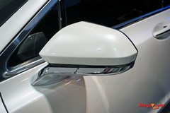 63905_49_1.jpg