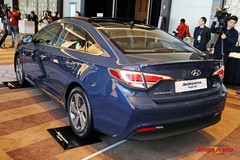 63970_15_1.jpg