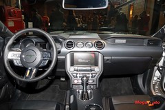 64353_16_1.jpg