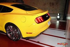64353_43_1.jpg
