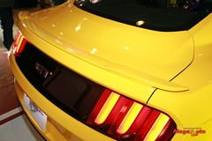 64353_45_1.jpg