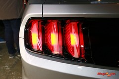 64353_47_1.jpg