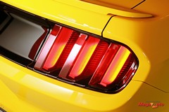 64353_48_1.jpg