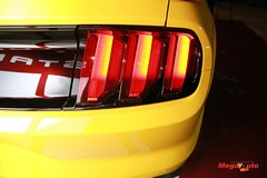 64353_49_1.jpg