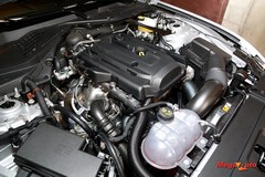 64353_52_1.jpg